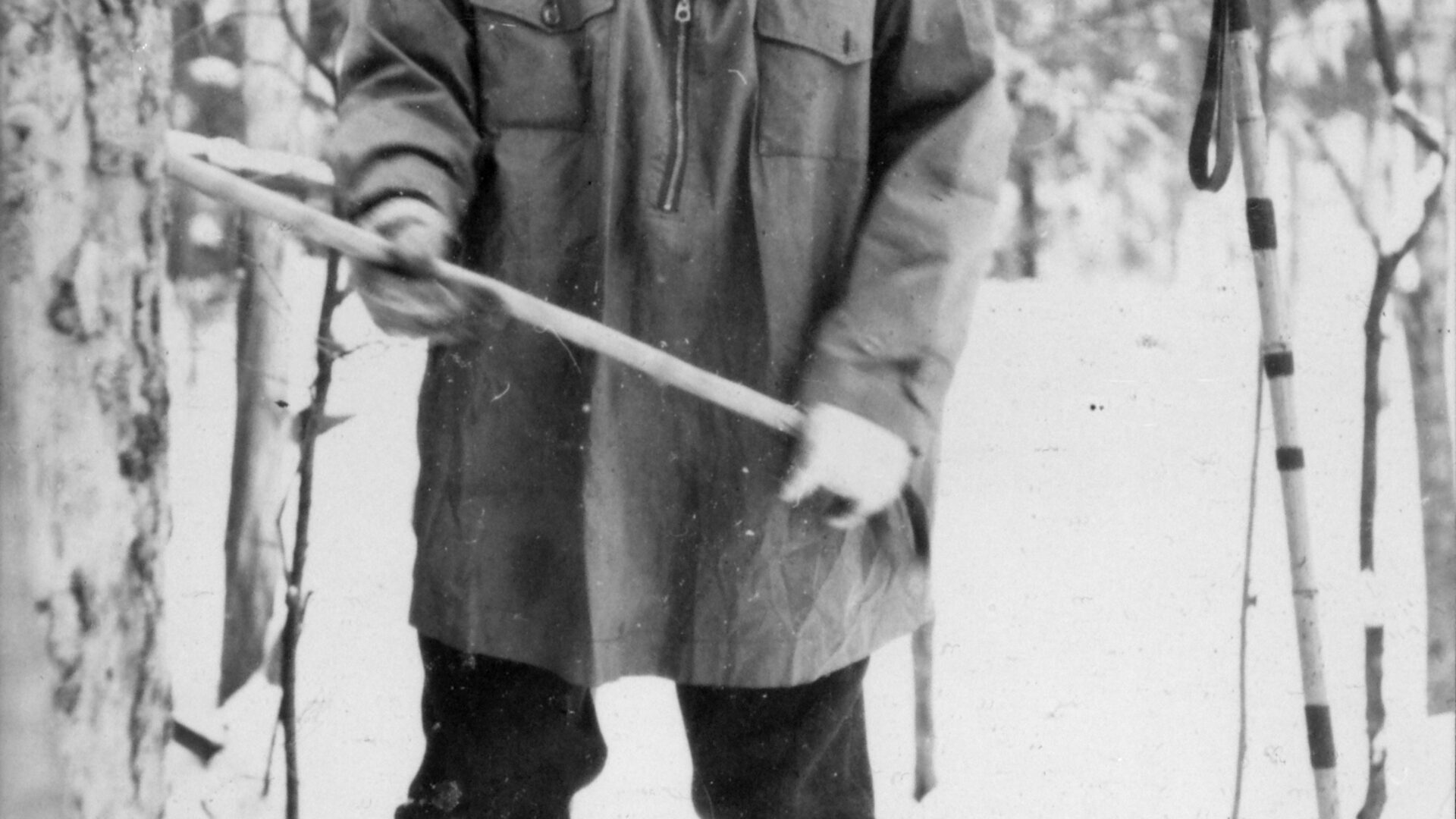 Appy measuring tree rings, c. 1955
